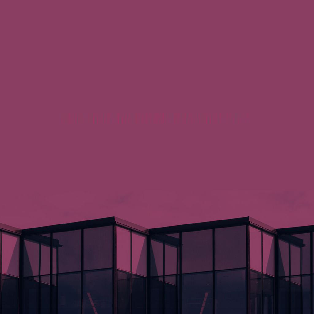 Wingman Media Case History Optimizing TV Linear